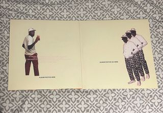 Flower Boy - Tyler the Creator Vinilo