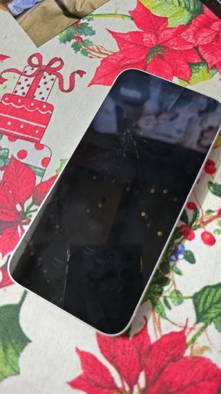 iPhone 12 256GB Bianco