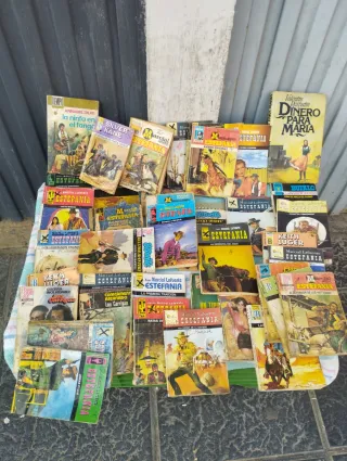 47 Novelas del oeste