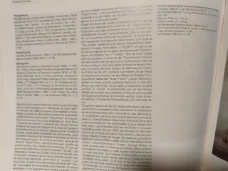 El Siglo de Oro del Paisaje Holandés