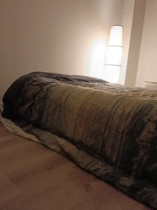 Cama Hinchable Bestway 2 Personas