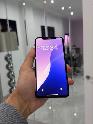 iPhone XS Max 512GB 100% Batteria