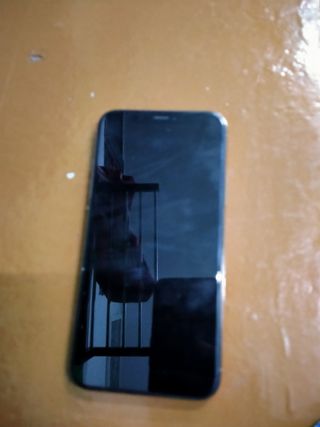 iPhone 12 Pro Despiece