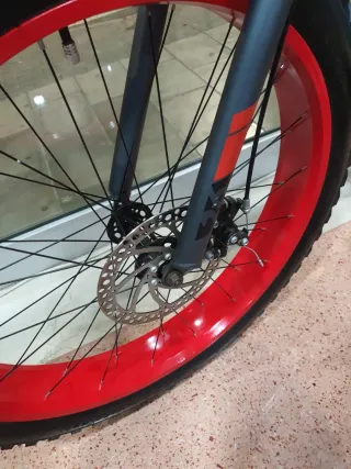 Bicicleta Fat Bike Moma