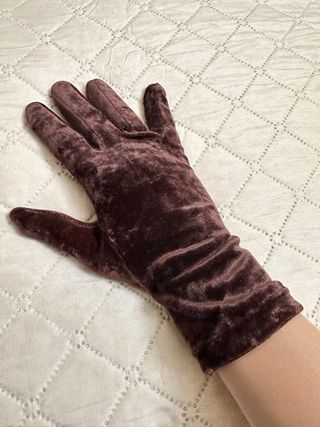 Guanti in velluto marrone