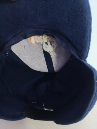 Gorra polar Tweety vintage azul