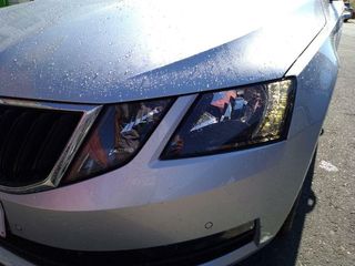 Skoda Octavia COMBI 1.0 TSI AMBITION DSG AUT