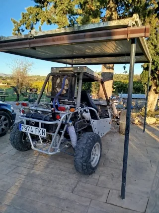 Buggy 650