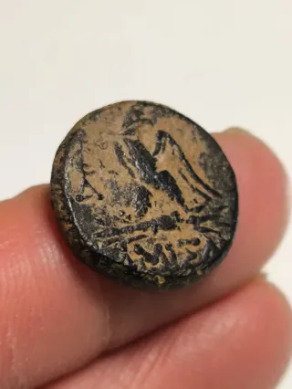 Moneda Griega Pontos Amisos Antigua