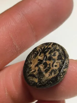 Moneda Griega Pontos Amisos Antigua