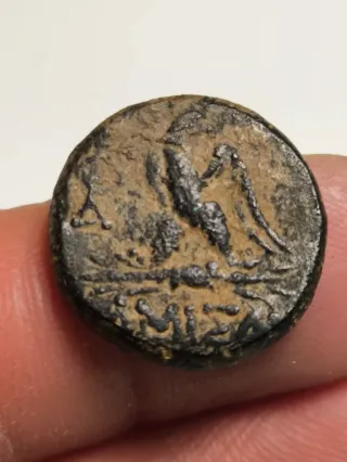 Moneda Griega Pontos Amisos Antigua