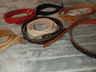 Set di 7 cinture da donna