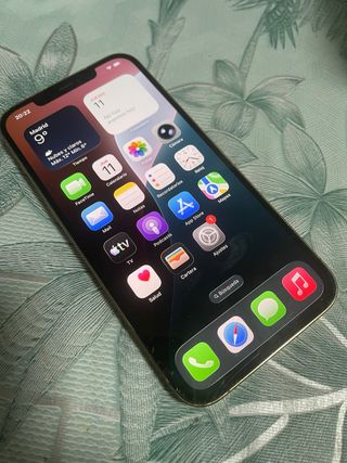 iPhone 12 Pro Max in oro da 256GB