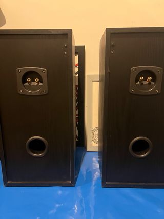 Altavoces Technics SB Negros y Plateados