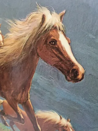 Quadro a olio Cavalli