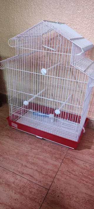 Jaula  pájaros