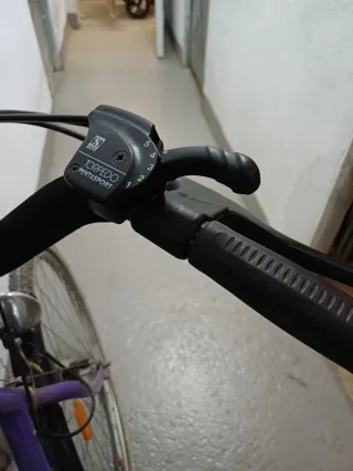 Bicicleta holandesa morada