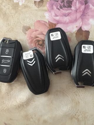 Llave Coche Citroen Peugeot Opel Completa