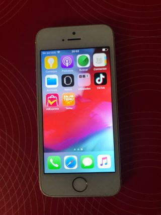 iPhone 5S Bianco/Oro