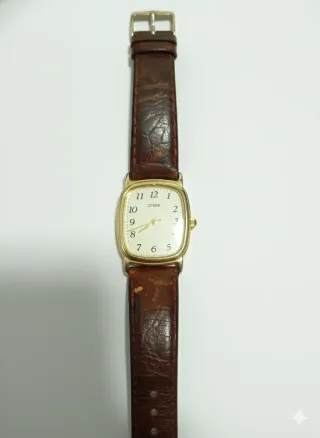 Citizen Action 2000 Vintage Reloj de Cuarzo