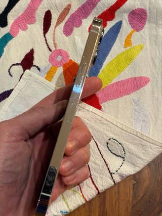 iPhone 13 Pro Max 256GB