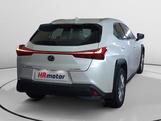 Lexus UX 250 h Budiness