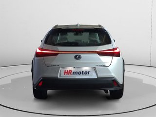 Lexus UX 250 h Budiness