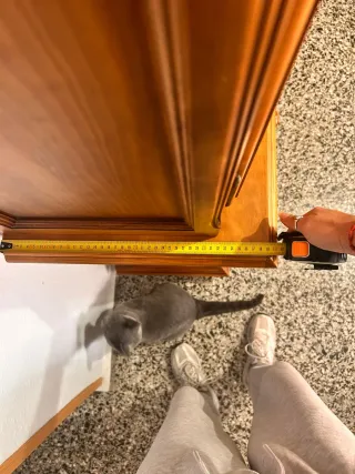 Mueble de salón de madera