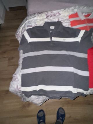 Polo Lacoste Gris y Blanco Talla 5 o L