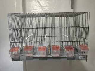 Gabbie per uccelli Jaulones