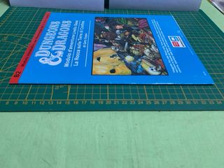 Dungeons & Dragons Modulo B2 La Rocca