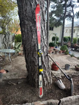 Esquís Dynastar Max Easy