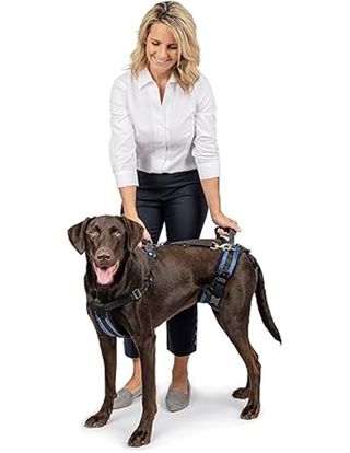 PetSafe Carelift, Arnés de Soporte de Cuerpo Compl