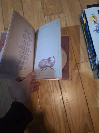 CD Amaral - Hacia lo Salvaje