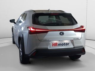 Lexus UX 250 h Budiness