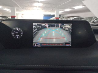 Lexus UX 250 h Budiness