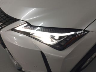 Lexus UX 250 h Budiness