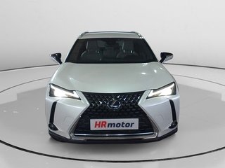 Lexus UX 250 h Budiness