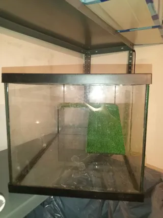 Tortugera con rampa y zona seca