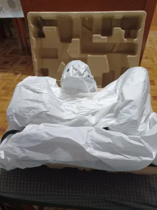 Rowenta Access Steam Force Cepillo Vapor