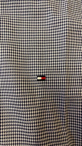 Camisa Tommy Hilfiger Azul y Blanca