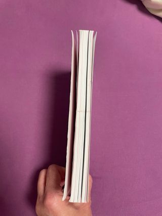 Tirant Lo Blanc. Episodis Amorosos