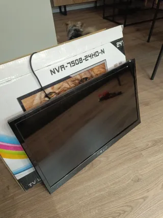 Televisión Nevir 24 LED