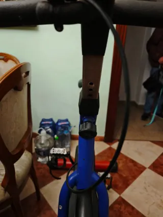 Bicicleta de Spinning Roja y Azul