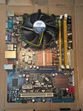 Scheda Madre Asus P5KPL-AM SE