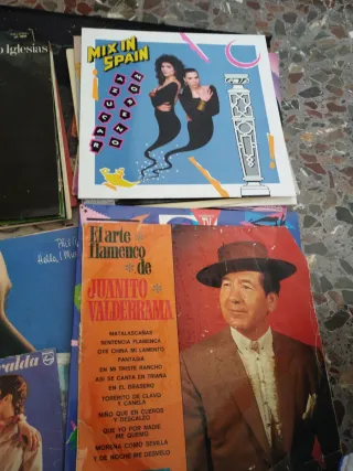 Tocadiscos Dual Marrón y Negro