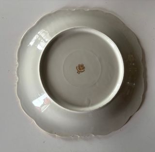 Piatto vintage porcellana Schwarzenhammer Bavaria