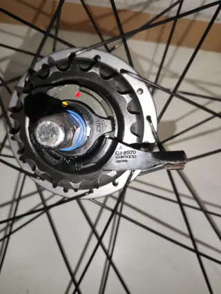 Buje Nexus 8V y Llanta 700c