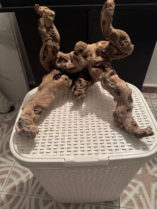 Tronco/Raíz para Acuario - Decoración