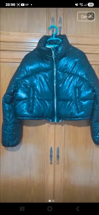 Plumas verde azulado brillante